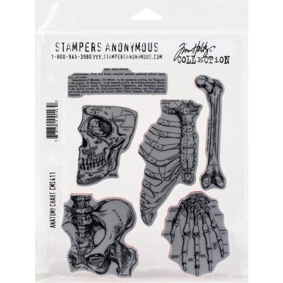 Stampers Anonymous Tim Holtz Cling Stamps - Anatomy Chart